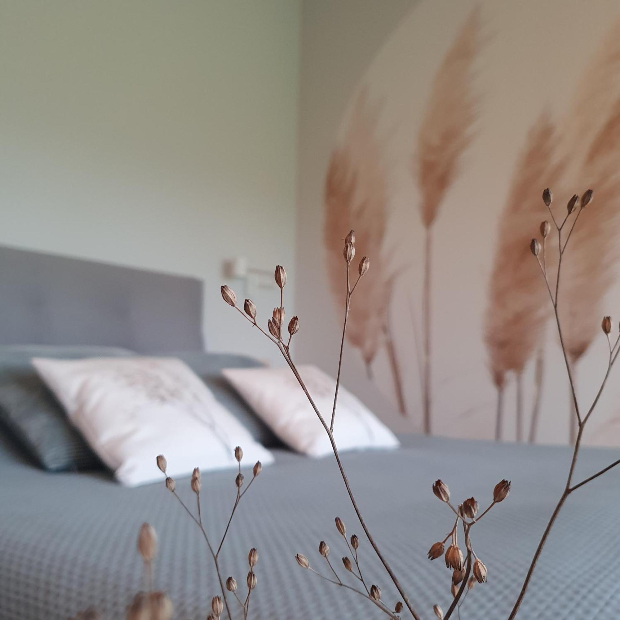 Bed and Breakfast Hippe Schuur Tytsjerk Zewnętrze zdjęcie